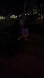 0551交换 遛狗